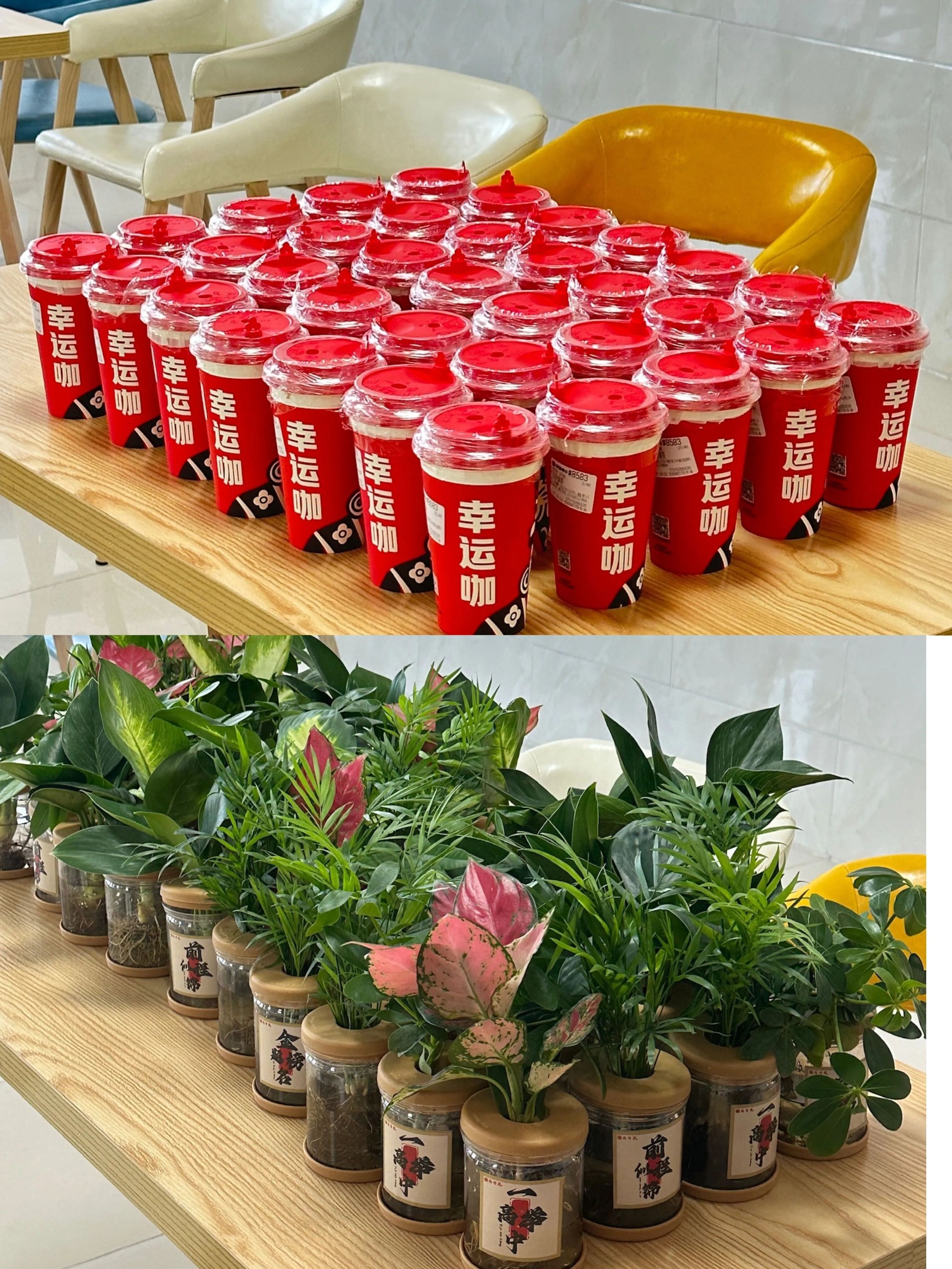 微信图片_2025-12-07_232905_115